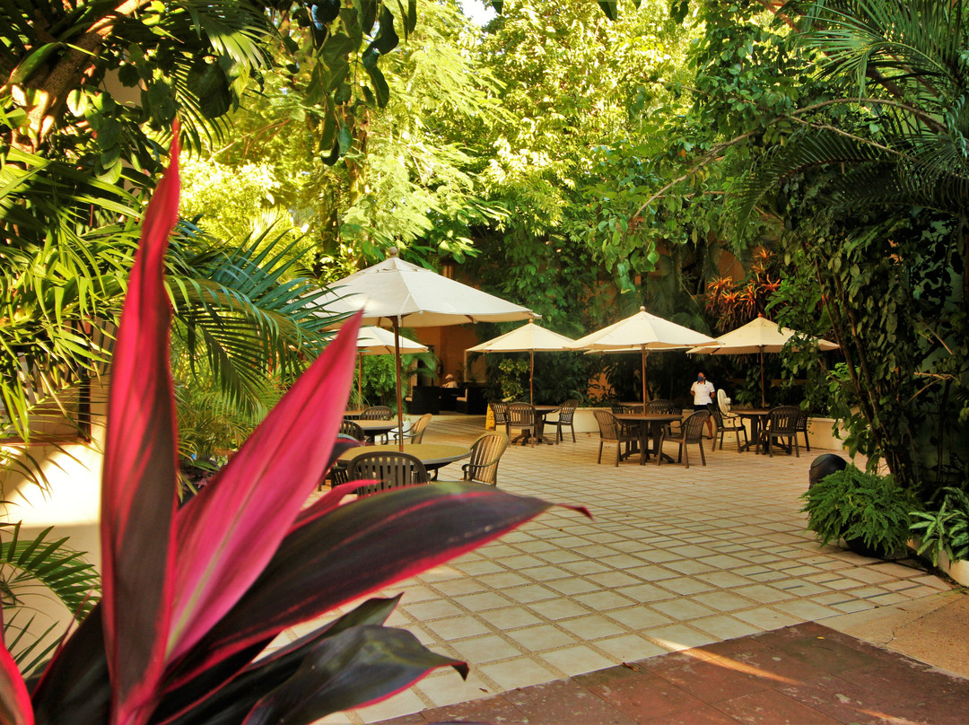 帕伦克酒店住宿-Maya Tulipanes Express