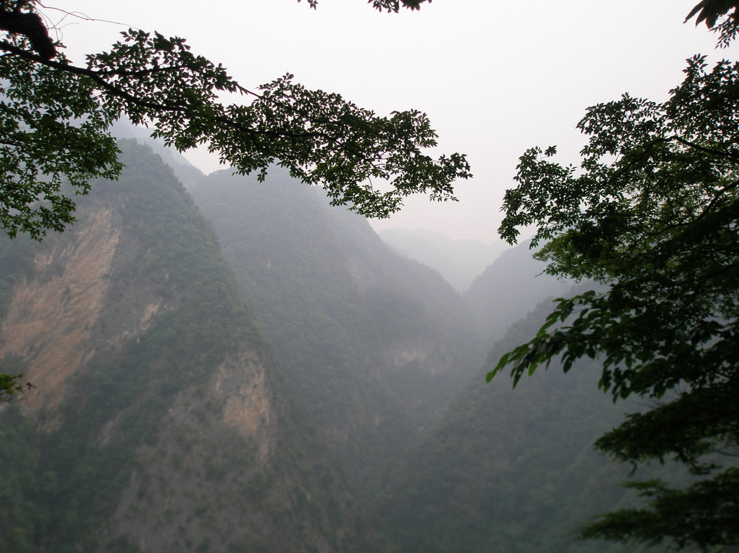 金丝峡国家森林公园景点图片