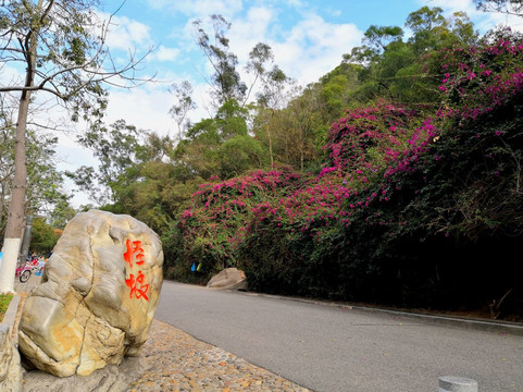 文曾路怪坡-厦门市必去景点