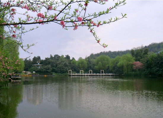 重庆花卉园景点图片