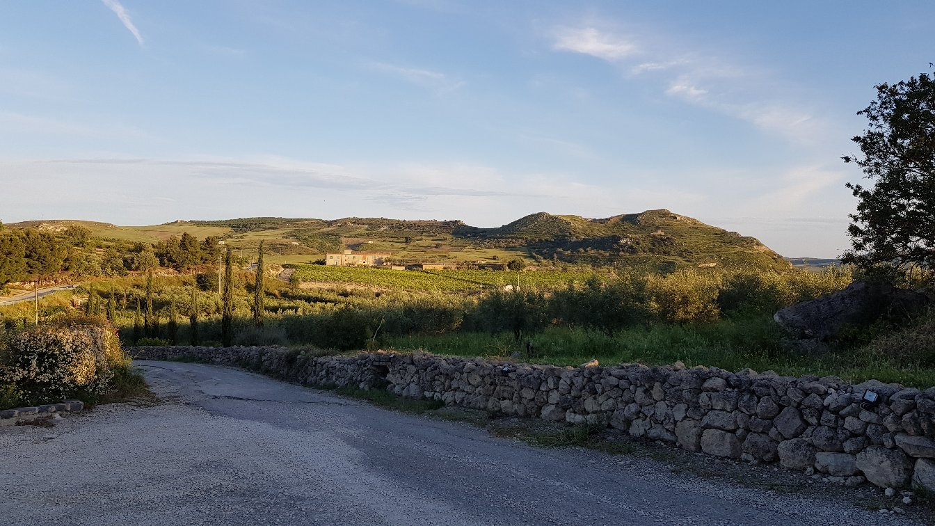 Tenuta Palladio-官方