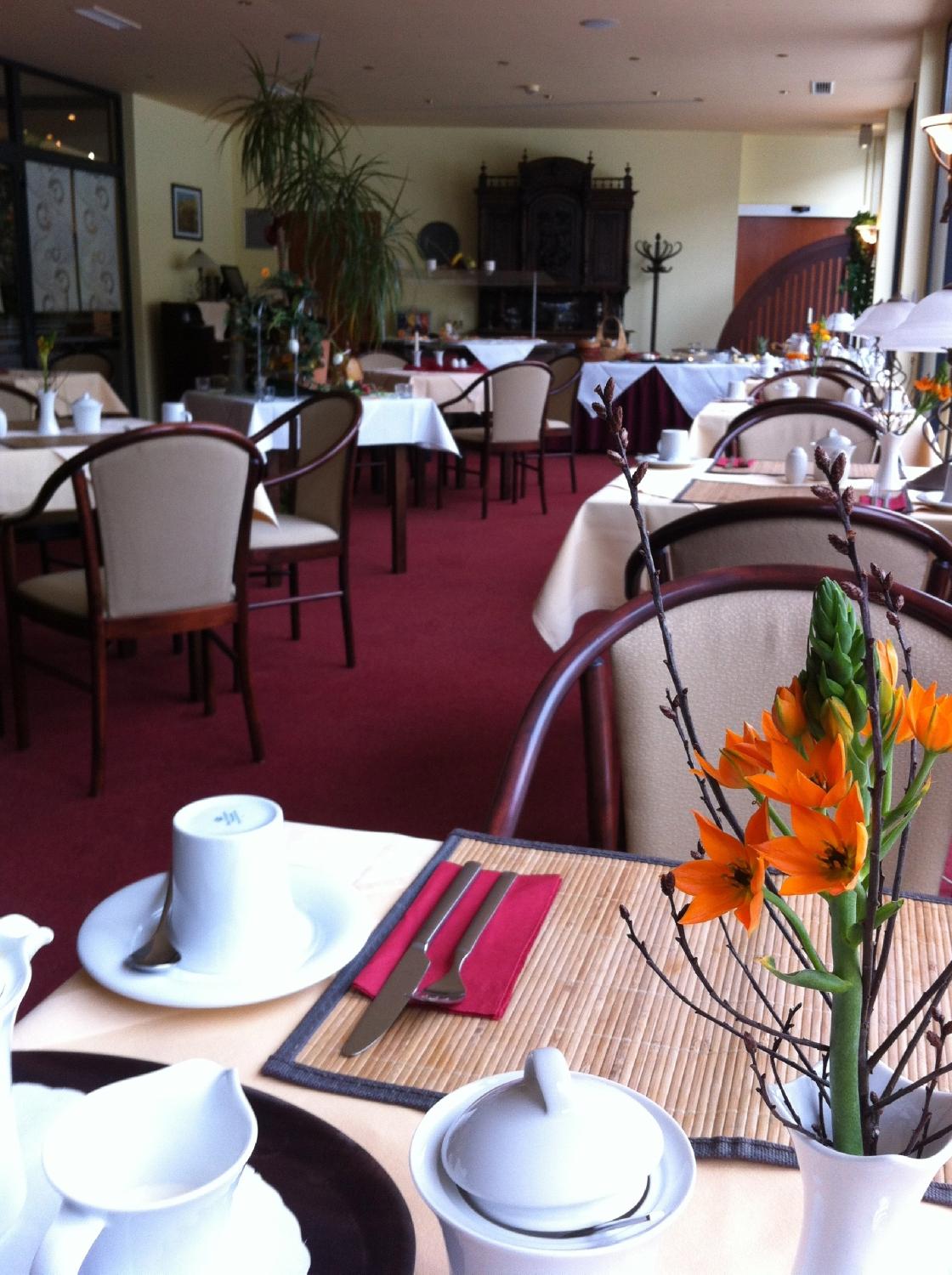 Balneolum Hotel-餐饮