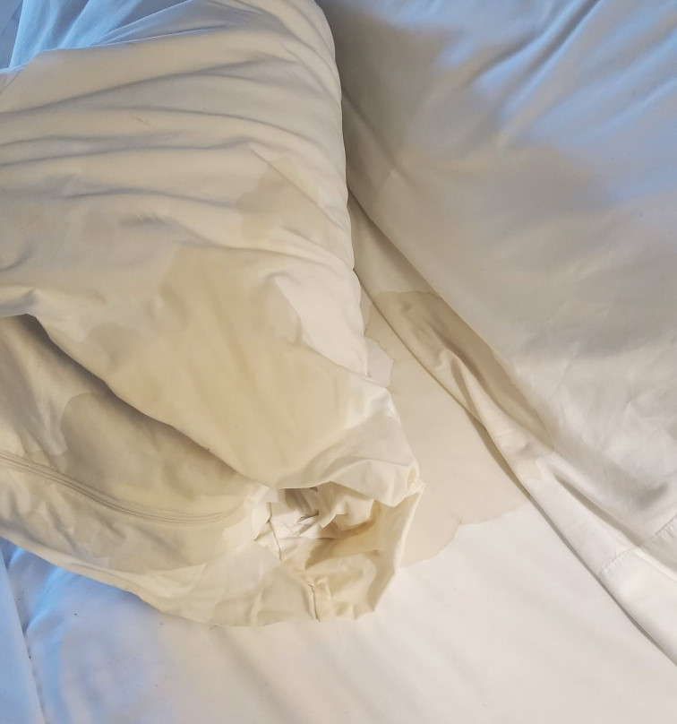 Holiday Inn Express & Suites Cocoa By IHG主图