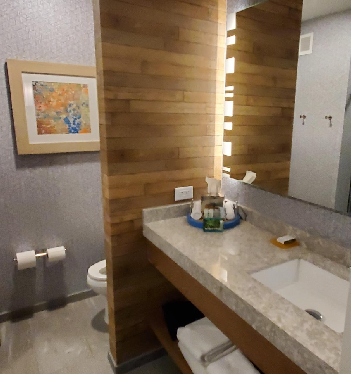 Hotel Indigo Gainesville-celebration Pointe By IHG-浴室