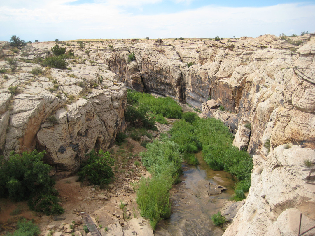 Rock Art Canyon Ranch景点图片