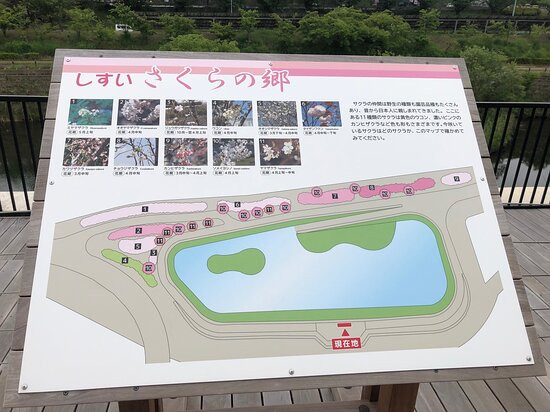 Shisui Parking Area Outbound-酒酒井町必去景点