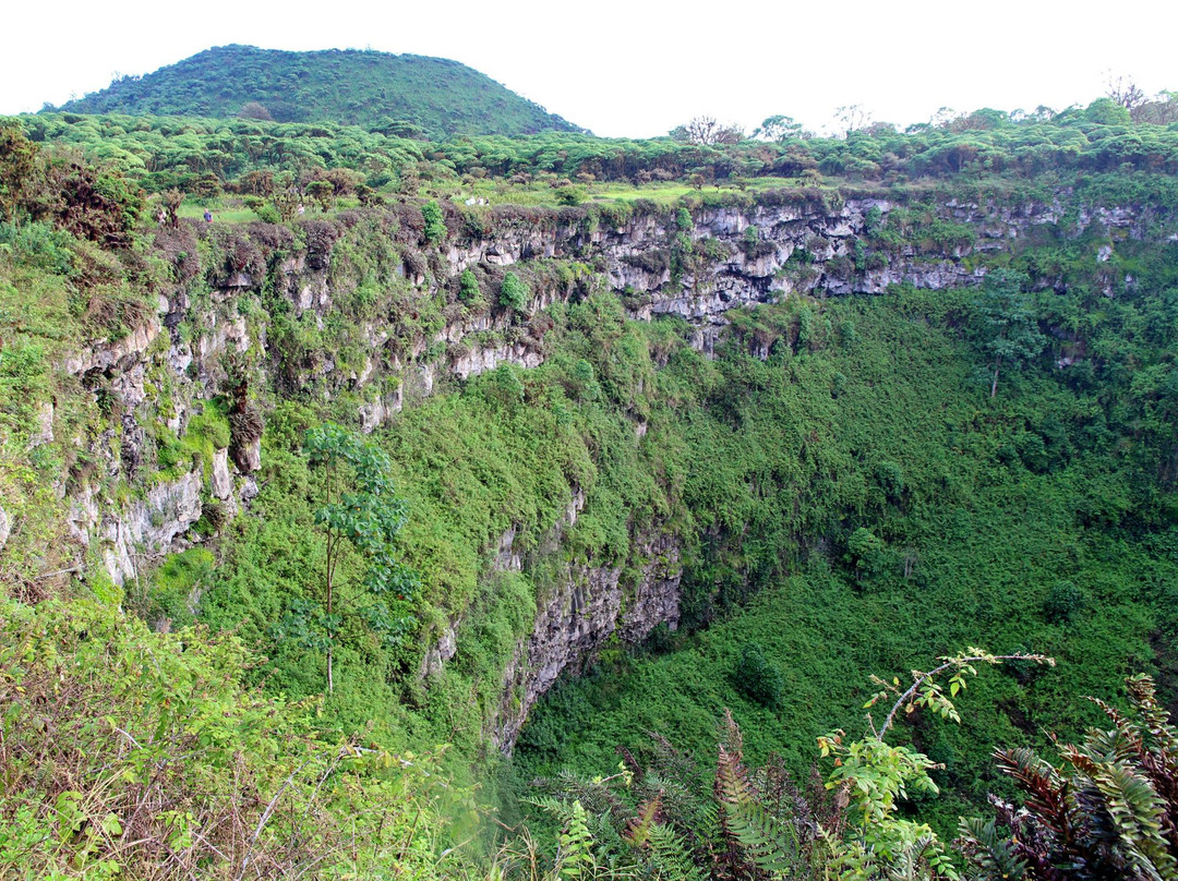 Pinzon旅游攻略图片