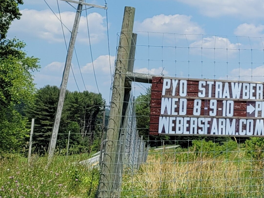 Weber's Peachberry Farm-Glen Arm必去景点