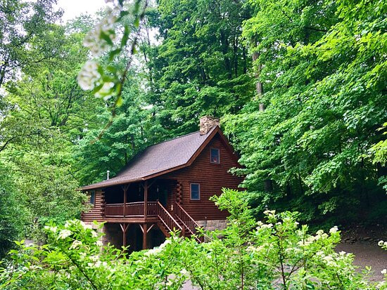 Berlin酒店住宿-Donna's Premier Cabin Lodging