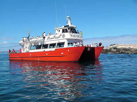 Nauticat Charters-木湾必去景点