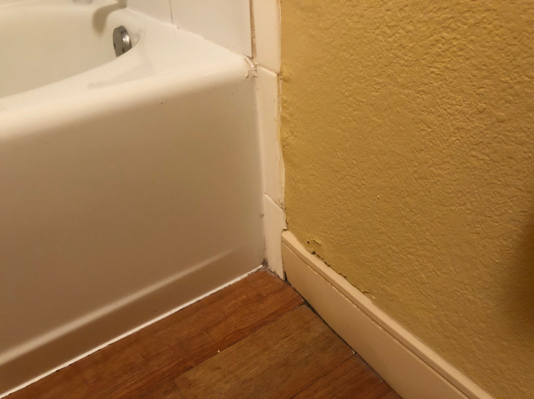 Comfort Inn & Suites Sarasota I75