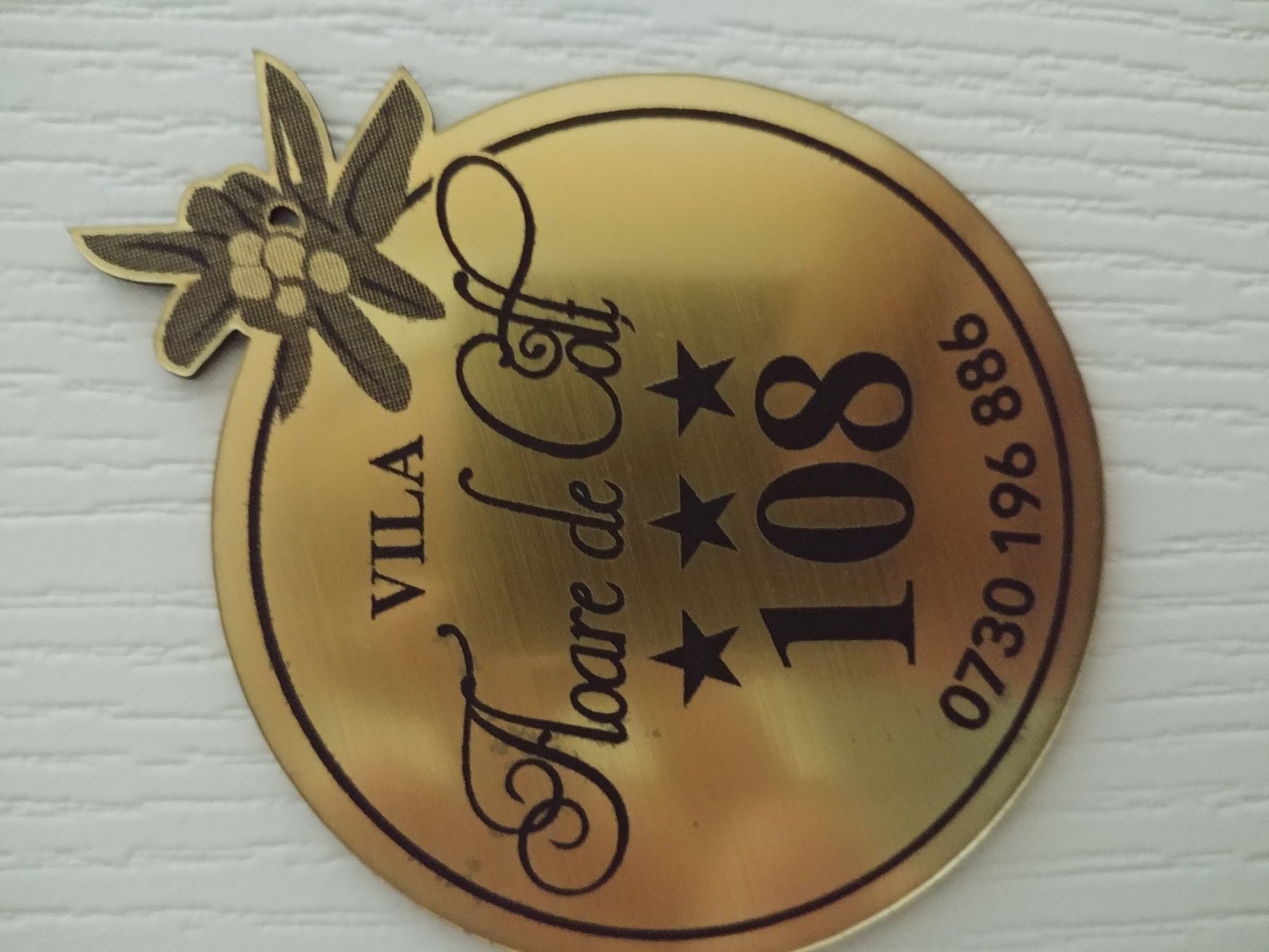 Pensiunea Floare de Colt-官方