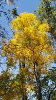 Delaware and Raritan Canal State Park-新泽西必去景点