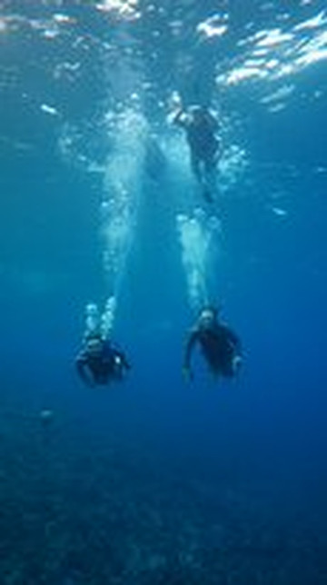 Gotcha Snuba-怀露库必去景点