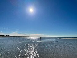 Rosebud Beach景点图片