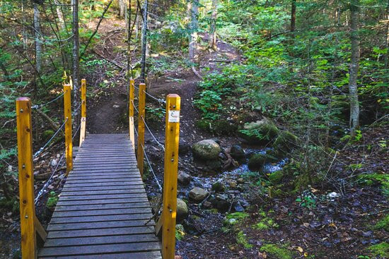 Sentier De La Forêt Marine-Saint-Joseph-de-la-Rive必去景点