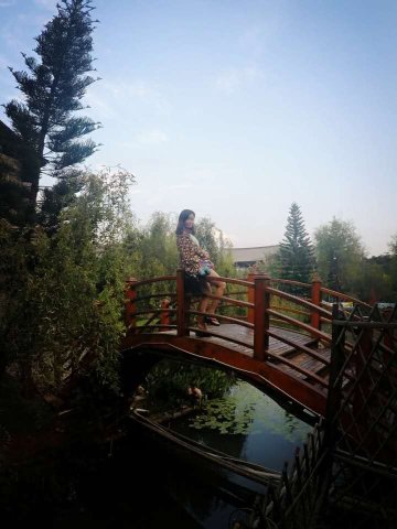 普陀泉温泉度假村-泳池