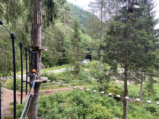 Voss Active High Rope & Zip-Line Park景点图片