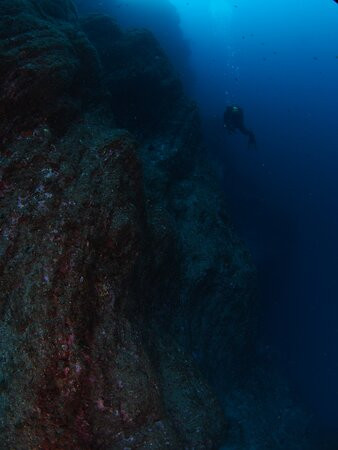 Haliotis Dive Centre Faial-奥尔塔必去景点
