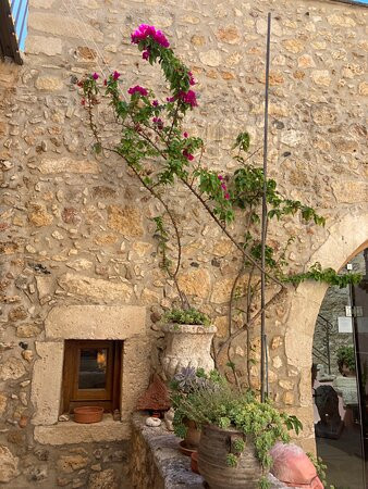 Casa dell' Aristea主图