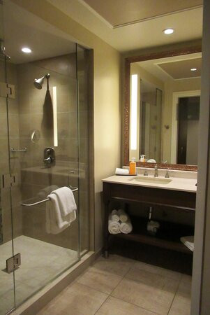 River City Casino & Hotel主图