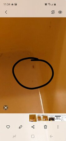 Days Inn By Wyndham Southington主图