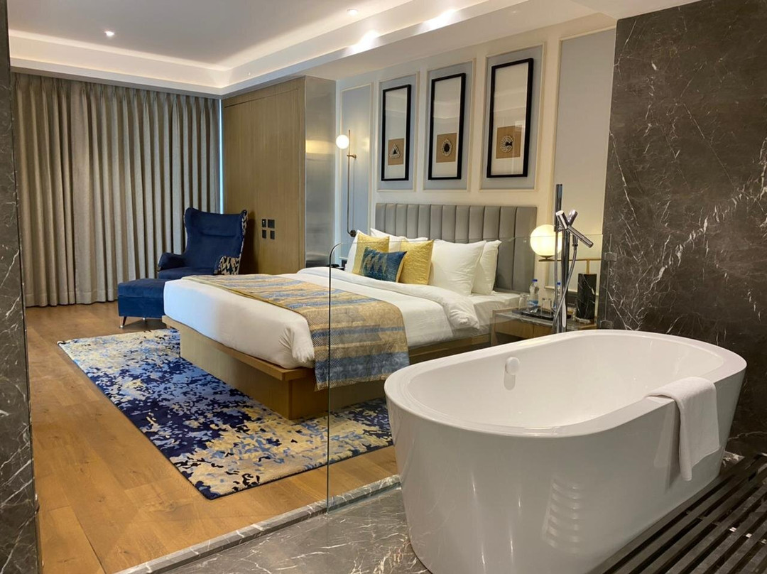 Sayaji Jamnagar主图