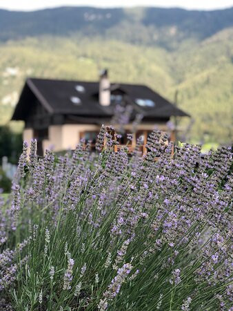 Agriturismo Il Tempo Delle Mele主图