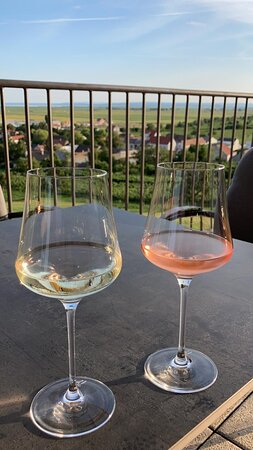 Weingut & Gästehaus zum Seeblick-官方
