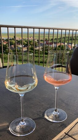 Weingut & Gästehaus zum Seeblick主图
