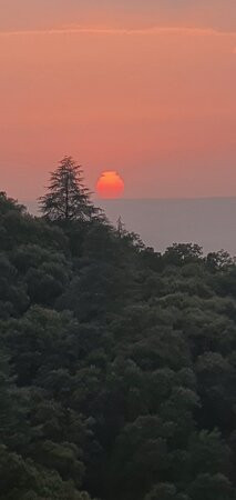 Morocco Unexplored - Private Day Tours-Azrou必去景点