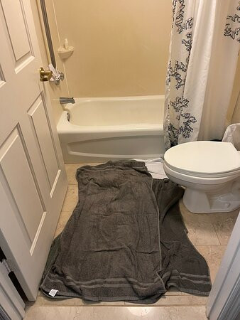 Residence Inn by Marriott Orlando East/UCF Area主图