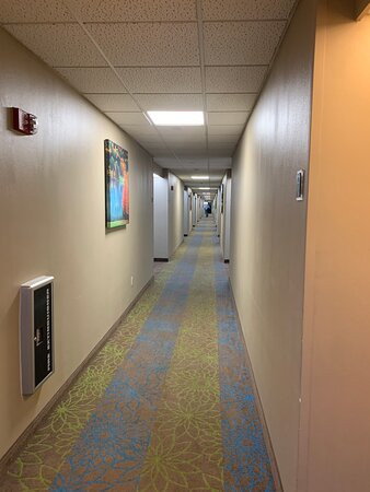 Sleep Inn Carlisle South主图