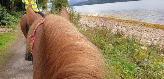Argyll Adventure - Inveraray-因弗雷里必去景点