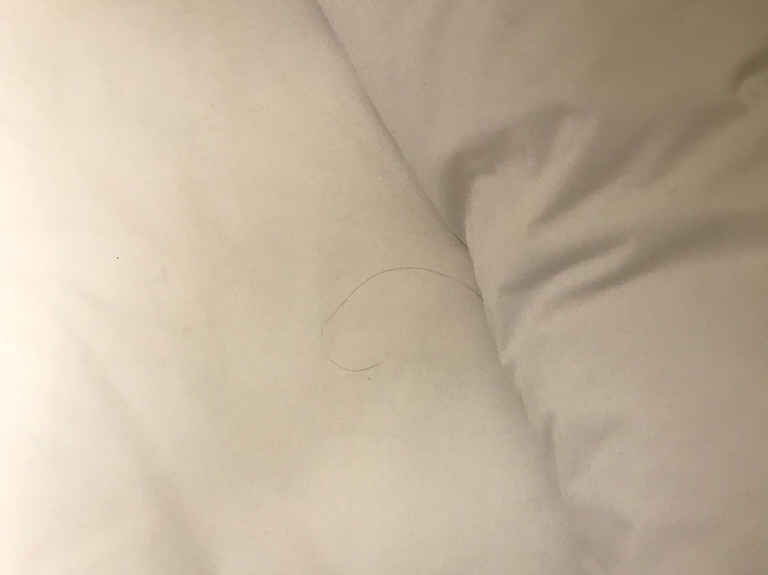 廊坊潮白河喜来登酒店主图