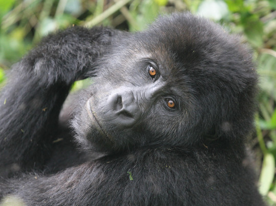 Eco Adventure Safaris-恩德培必去景点