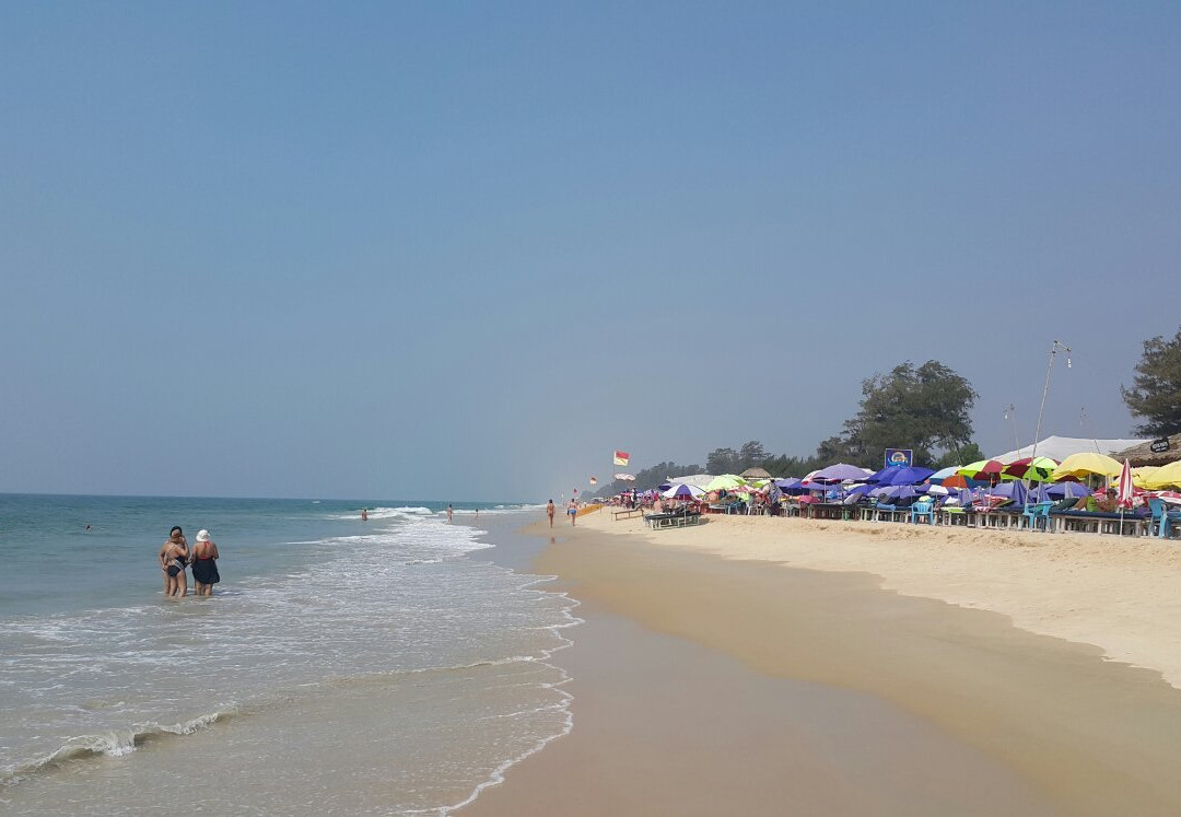 Benaulim Beach景点图片