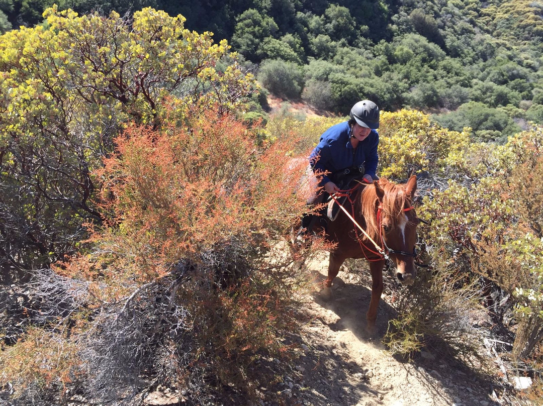 Running Horse Ranch-Lake Hughes必去景点