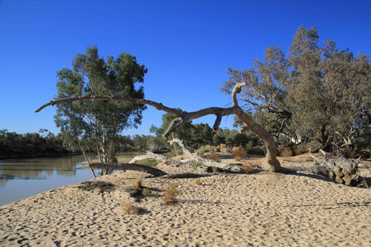 Thargomindah旅游攻略图片