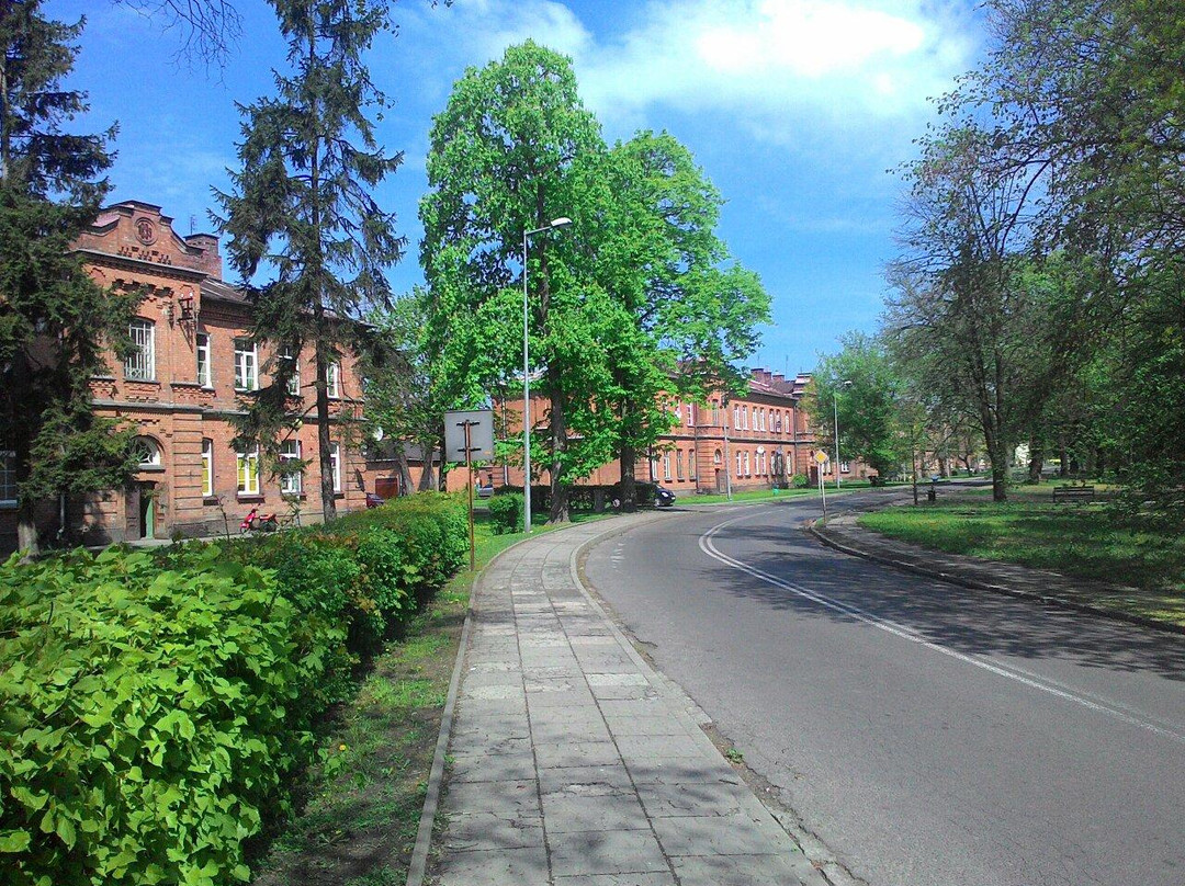 null-Nowy Dwor Mazowiecki