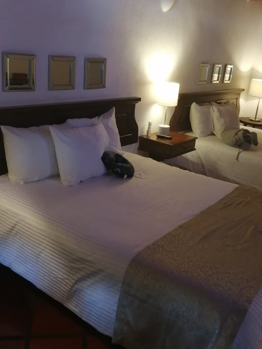 Hotel 1697 Loreto主图