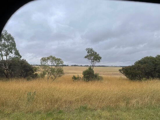 Lake Goldsmith-Beaufort必去景点