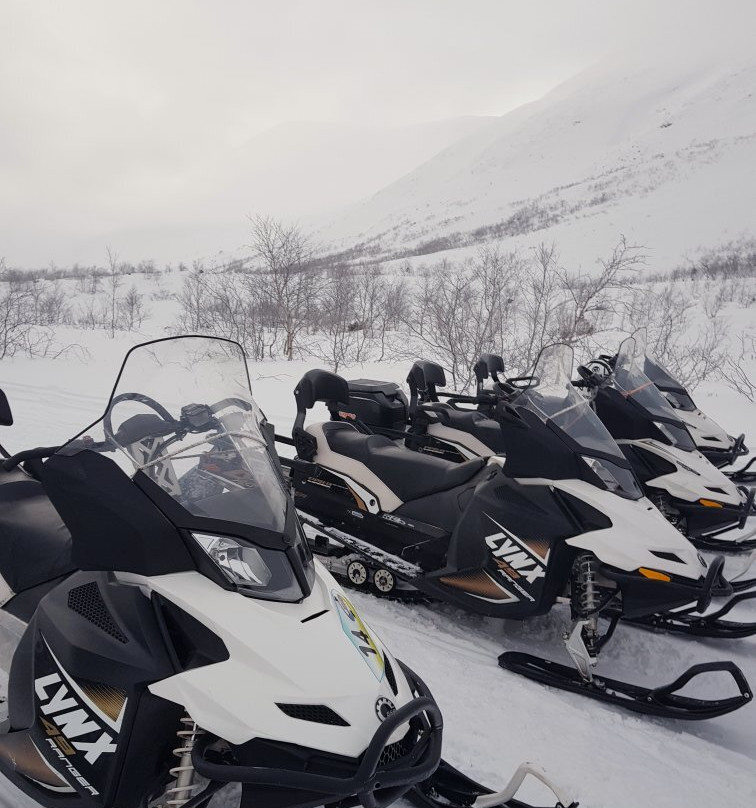 Kola Expeditions - Day Tours景点图片