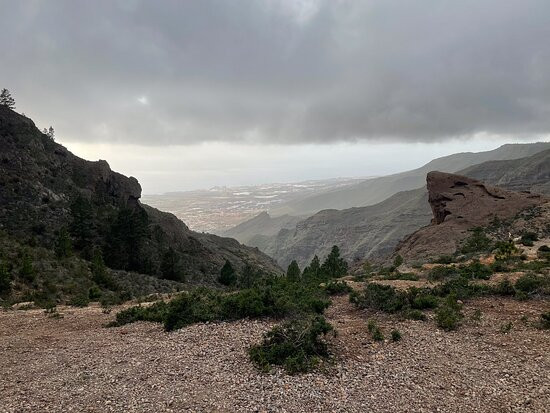 Paragliding Kangaroo Tandem-奥德杰海岸必去景点