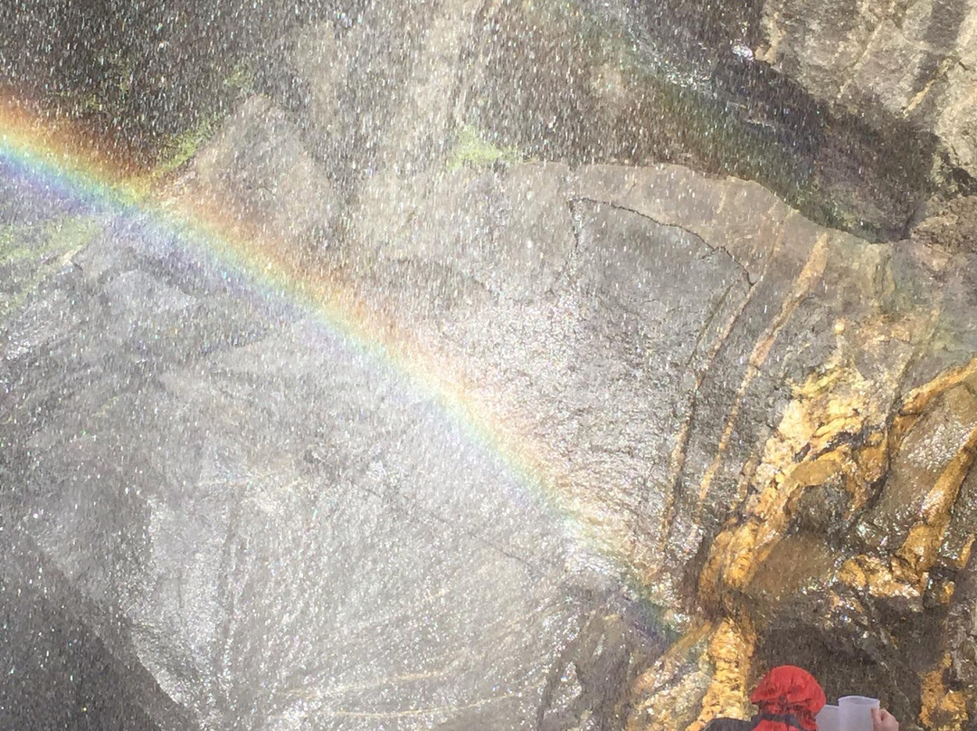 RealNZ-米尔福德峡湾必去景点