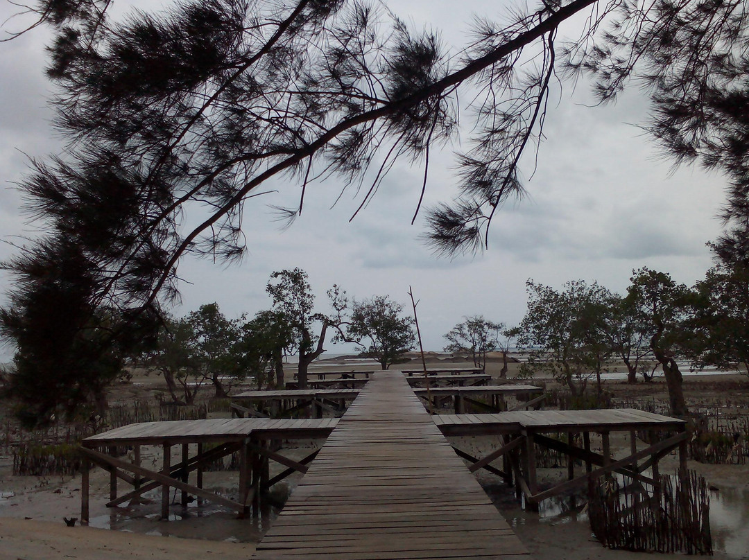 Pantai Tapak Hantu景点图片