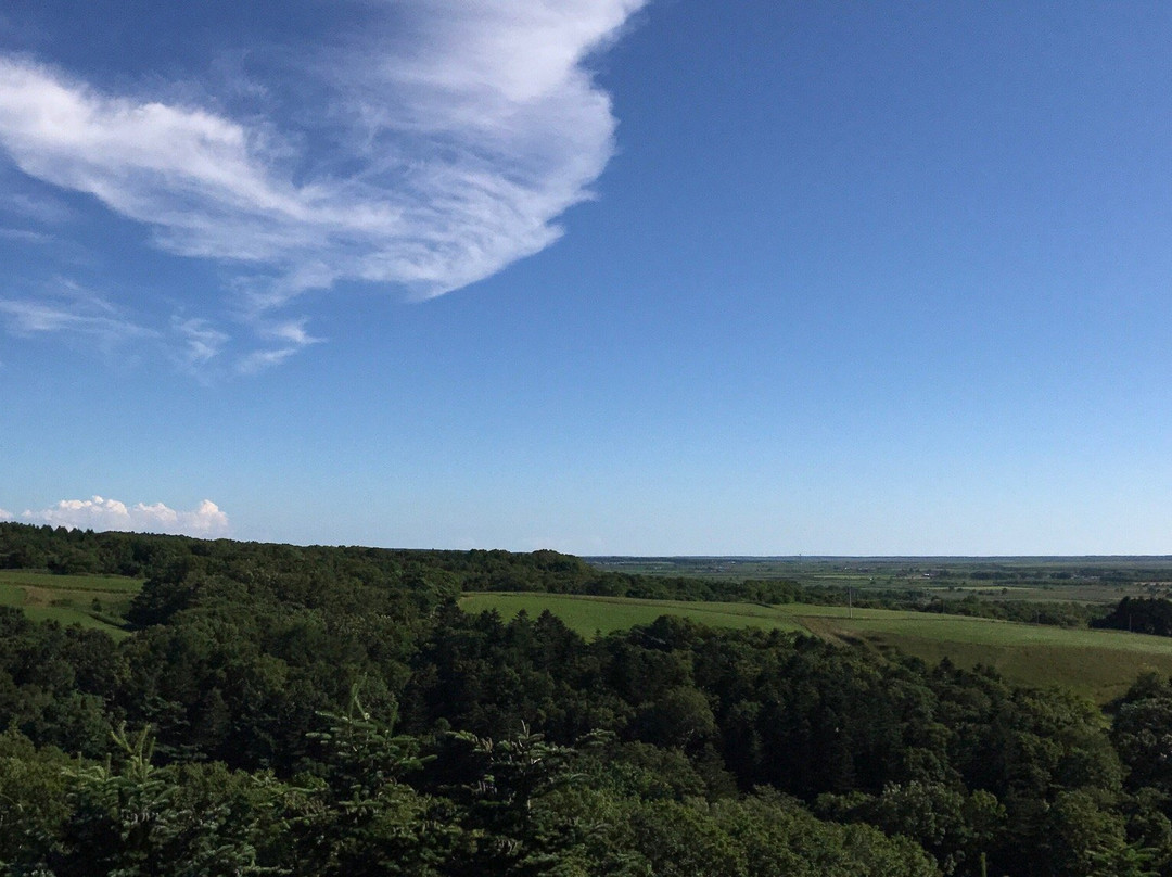 丰富町旅游景点-Miyanodai Observation Tower