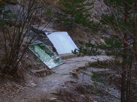 Empreintes des Pattes des Oiseaux Marins