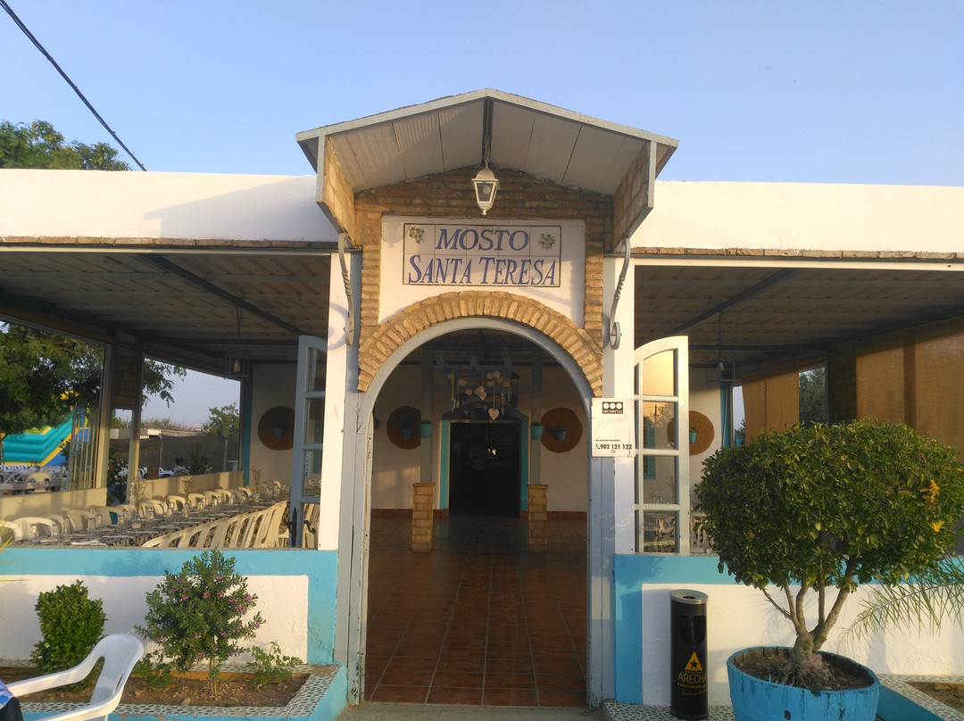 Mosto Santa Teresa