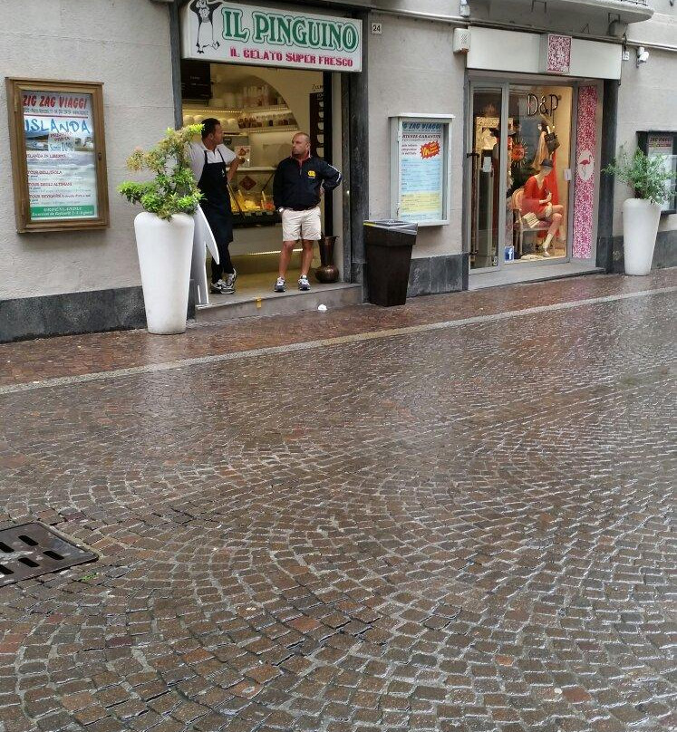 Gelateria Il Pinguino